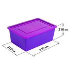 Ящик универсальный для хранения с крышкой, объем 30л. цвет: сиренево-фиолетовый - Фото 3