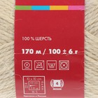 Пряжа "Деревенька" 100% шерсть 170м/100гр (0772 натур.светлый) - Фото 3