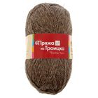 Пряжа "Деревенька" 100% шерсть 170м/100гр (2450, натуральный темный) - Фото 2