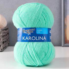 Пряжа Karolina (Каролина) 100% акрил 438м/100гр весна NEW (10899) 1414463