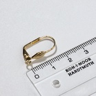 Швензы для сережек с французской застёжкой, 17 мм (набор 5 пар), цвет золото - Фото 2