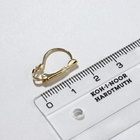 Швензы для сережек с французской застёжкой, 19 мм (набор 5 пар), цвет золото - Фото 2