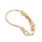 Швензы для сережек с французской застёжкой, 19 мм (набор 5 пар), цвет золото - Фото 3