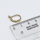 Швензы для сережек с французской застёжкой, 14 мм (набор 5 пар), цвет золото - Фото 2