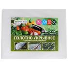Материал укрывной, 10 × 3,2 м, плотность 22 г/м², белый, NeoSpan - Фото 2