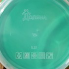 Контейнер круглый Доляна, пищевой, 300 мл, цвет зелёный - Фото 4
