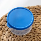 Контейнер круглый Доляна, пищевой, 300 мл, цвет синий - фото 4556545