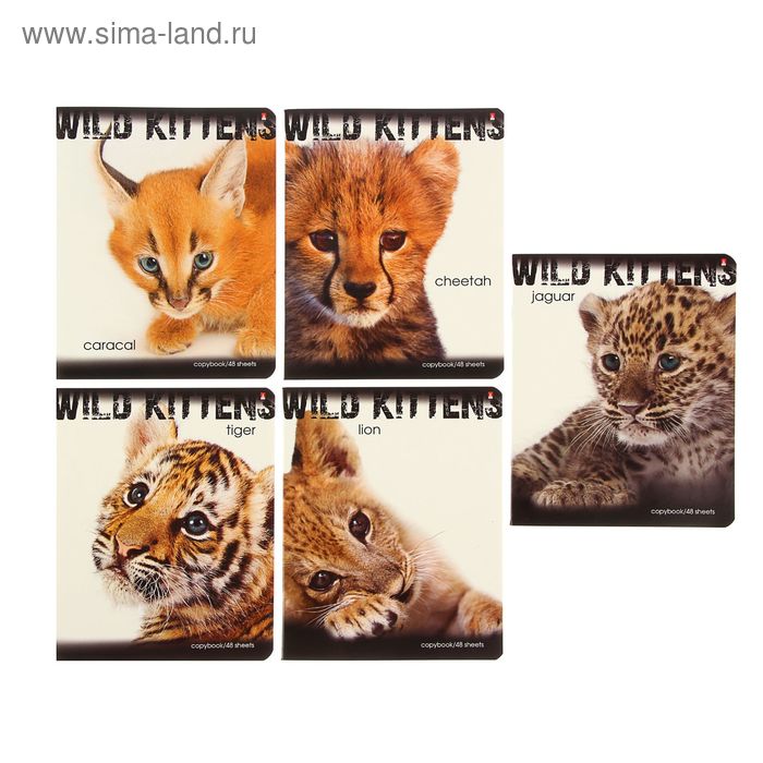 Тетрадь 48 листов клетка "Дикие котята", картонная обложка, 5 видов МИКС - Фото 1