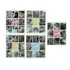 Тетрадь 48 листов в клетку «Ленивые котята», обложка мелованный картон, УФ-лак, МИКС - Фото 1