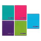 Тетрадь 96 листов линейка "Классика", картонная обложка, УФ-лак, 5 видов МИКС - Фото 1