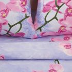Постельное бельё дуэт Блакит «Орхидея», 153х215 см — 2 шт, 220х240 см, 70х70 см — 2 шт - Фото 2