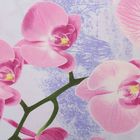 Постельное бельё дуэт Блакит «Орхидея», 153х215 см — 2 шт, 220х240 см, 70х70 см — 2 шт - Фото 3
