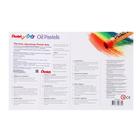 Пастель масляная, 50 цветов, Pentel, 8/60мм, в картоне - фото 20650452