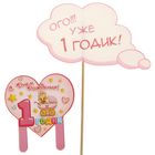 Набор для проведения веселого Дня Рождения "1 годик" (девочке) - Фото 8