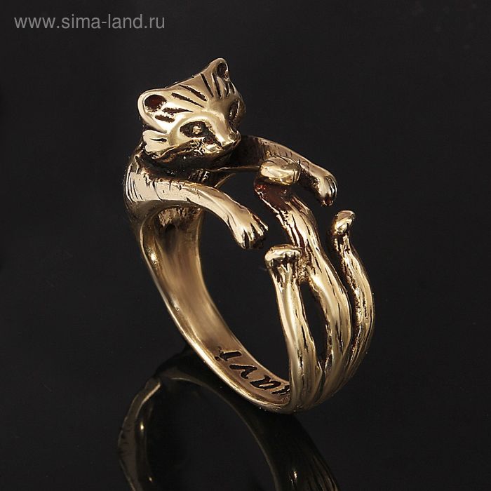 Кольцо "Тимон", размер 18, цвет бронзовый - Фото 1