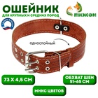 Ошейник кожаный однослойный, 73×4.5 см, ОШ 51-65 см, микс - Фото 1