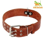 Ошейник кожаный однослойный, 73×4.5 см, ОШ 51-65 см, микс - Фото 3