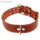 Ошейник кожаный однослойный, 73×4.5 см, ОШ 51-65 см, микс - Фото 4