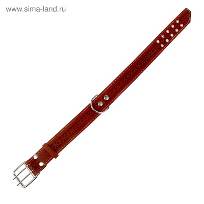 Ошейник однослойный, 73×4.5 см, ОШ 51-65 см, кожа, МИКС