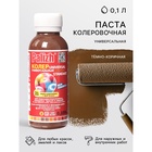Колер № 21 «Палитра» тёмно-коричная, 0.1 л - Фото 1
