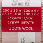 Пряжа для вязания спицами, крючком «Пехорский текстиль. Деревенская», 100% полугрубая шерсть, 250 м/100 г, (181 жемчуг) - Фото 4
