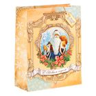 Пакет ламинированный вертикальный «Дед Мороз», 18 × 23 × 8 см - Фото 3