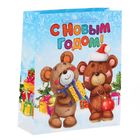 Пакет ламинированный вертикальный «Мишки», 23 × 27 × 8 см - Фото 1