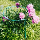 Кустодержатель, d=40 см, h=60 см, ножка d=1 см, металл, набор 2 шт., зелёный - Фото 6