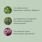 Кустодержатель, d=80 см, h=90 см, ножка d=1 см, металл, набор 2 шт., зелёный (2 шт) - фото 809672119