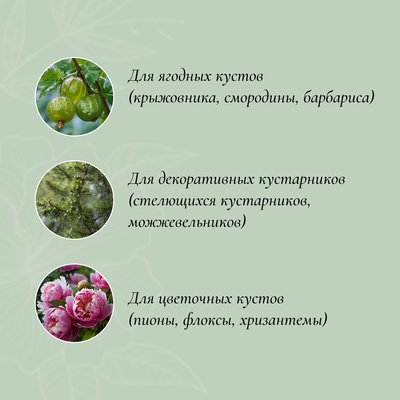 Кустодержатель, d=80 см, h=80 см, ножка d=1 см, металл, набор 2 полудуги, зелёный