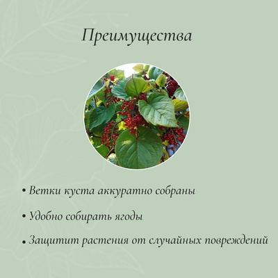 Кустодержатель, d=80 см, h=80 см, ножка d=1 см, металл, набор 2 полудуги, зелёный