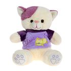 Мягкая игрушка «Кошка в кофте № 2», цвета МИКС - Фото 2