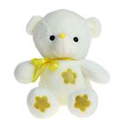 Мягкая игрушка «Медведь № 1» со звездой на груди и лапках, цвета МИКС - Фото 1