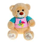 Мягкая игрушка «Медведь № 1» в кофте с вышивкой, цвета МИКС - Фото 2