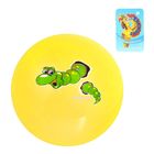 Мяч детский "Гусеница" 22 см, цвета МИКС - Фото 3