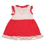 Платье "Платья для малышек", рост 80 см (50), цвет белый/красный, принт горошек ДПК460001н - Фото 2