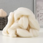 Шерсть для валяния 100% полутонкая шерсть 50 гр (205, белый) - Фото 1