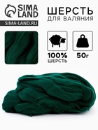 Шерсть для валяния 100% полутонкая шерсть 50 гр (110, зеленый) - Фото 1