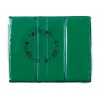 Полимерная глина 50гр "Calligrata" Зеленый интенсив - фото 11935902