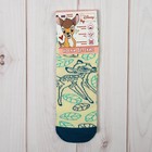 Носки детские "Бемби. Лист", Дисней беби, 22-24 см, 12-14 лет, 80% хлопок, 17% полиамид, 3% эластан - Фото 3