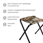 Стул складной Nika, 36 х 30 х 36 см, принт сафари - Фото 2