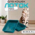 Туалет перламутровый средний с сеткой 36×26×6.5 см, бирюзовый - Фото 1