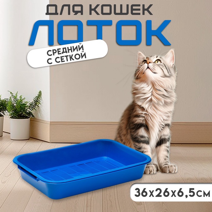 Туалет средний с сеткой 36×26×6.5 см, синий/черничный - Фото 1