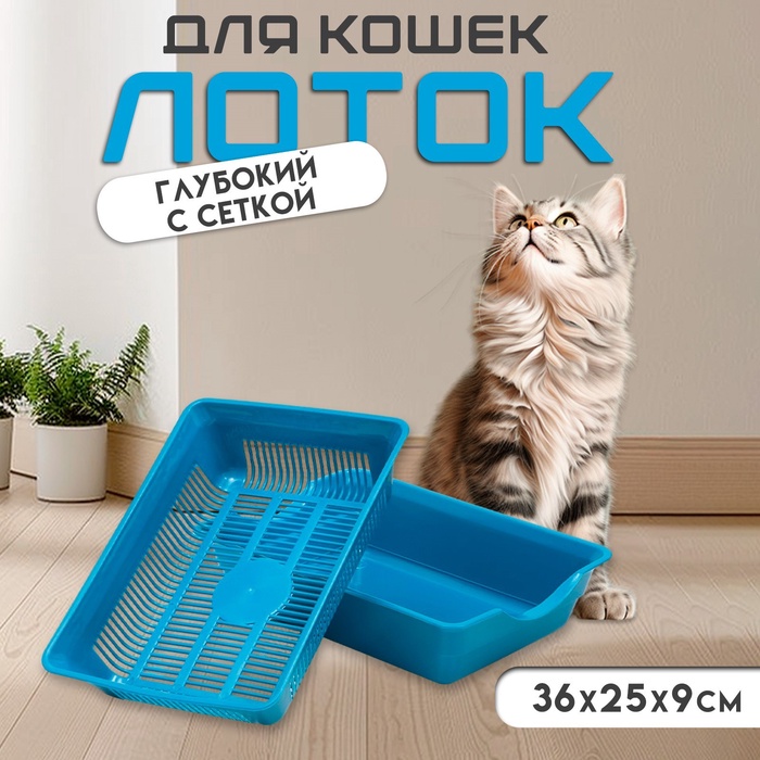 Туалет глубокий с сеткой 36 х 25 х 9 см, синий - Фото 1