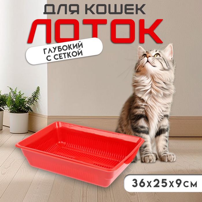 Туалет глубокий с сеткой 36×25×9 см, красный - Фото 1