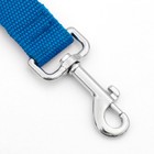 Поводок 5 м х 2,5 см, синий - Фото 2