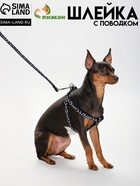 Комплект прошитый "Жираф", ширина 1 см, поводок 120 см, шлейка 23-35 см, чёрно-белый - Фото 1