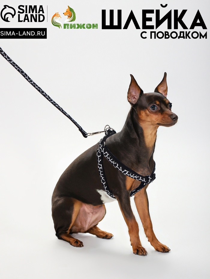 Комплект прошитый "Жираф", ширина 1 см, поводок 120 см, шлейка 23-35 см, чёрно-белый - Фото 1