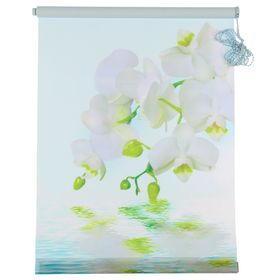 Штора-ролет Магеллан (шторы и фурнитура) «Орхидея», размер 50×160 см, цвет голубой
