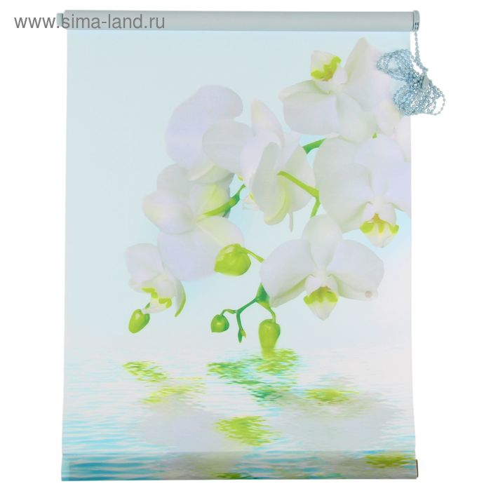 Штора-ролет Магеллан (шторы и фурнитура) «Орхидея», размер 50×160 см, цвет голубой - Фото 1